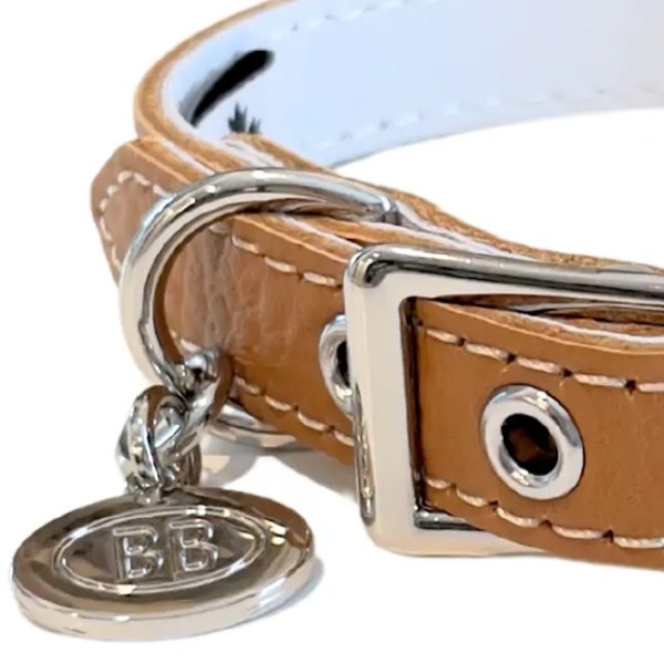 画像12: BB ID 首輪 1号 カラー バディーベルト buddybelt バディベルト Buddy Belts ID Collar (12)