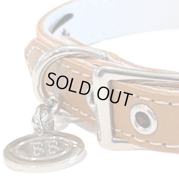 画像12: BB ID 首輪 7号 カラー バディーベルト buddybelt バディベルト Buddy Belts ID Collar (12)