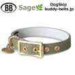 画像2: BB 首輪 セージ Sage 6号 (2)