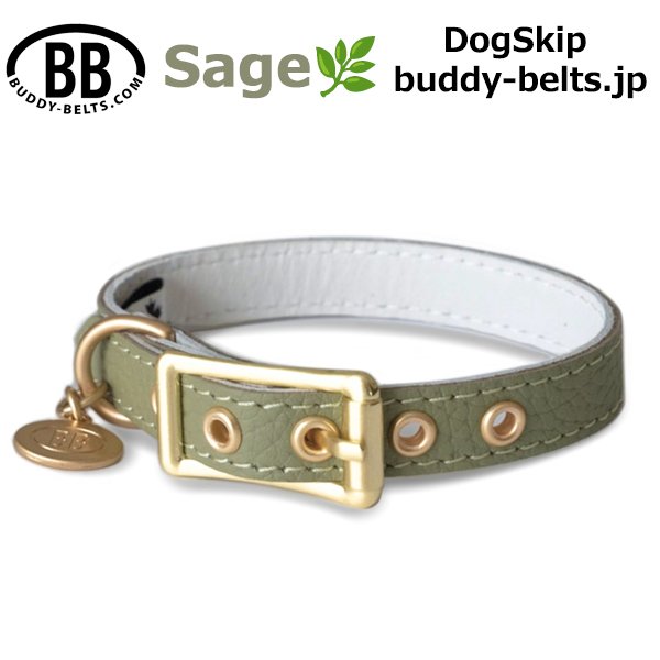 画像2: BB 首輪 セージ Sage 1号 (2)