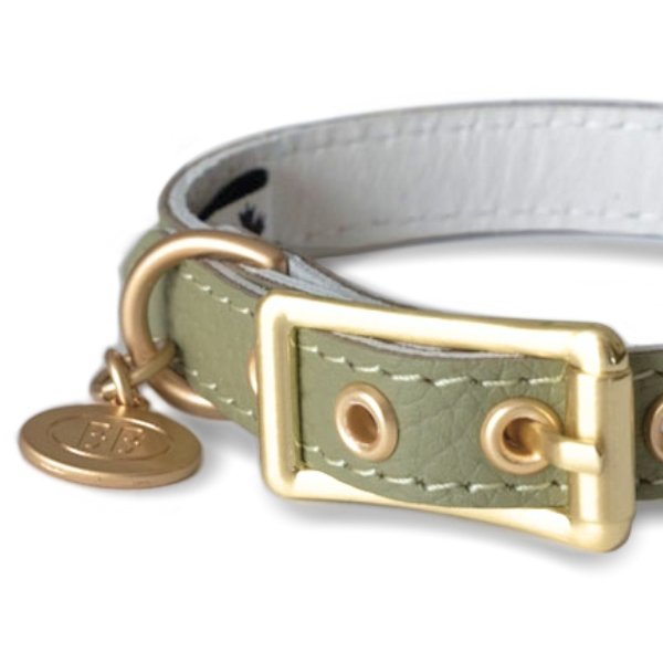 画像3: BB 首輪 セージ Sage 1号 (3)