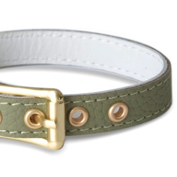 画像4: BB 首輪 セージ Sage 1号 (4)