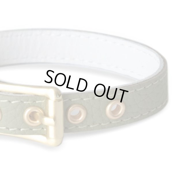 画像4: BB 首輪 セージ Sage 6号 (4)