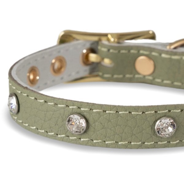 画像3: BB 首輪 セージ Sage 3号 スワロフスキークリスタル付 (3)