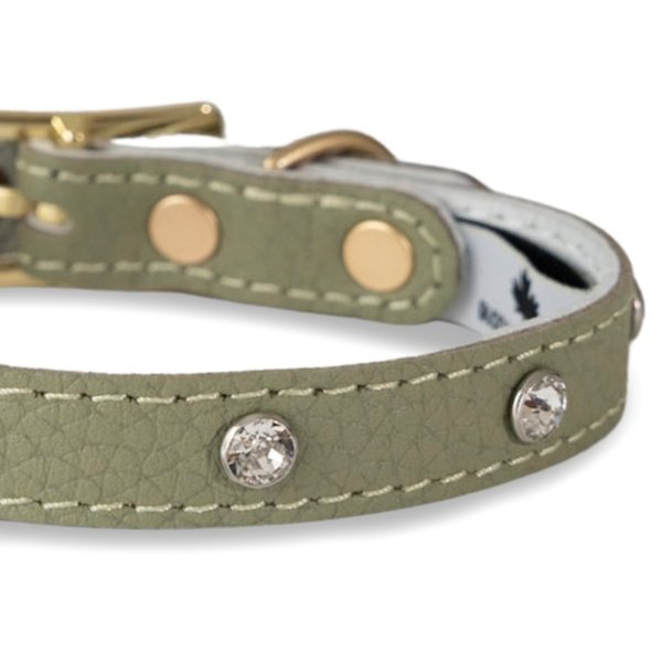画像4: BB 首輪 セージ Sage 3号 スワロフスキークリスタル付 (4)