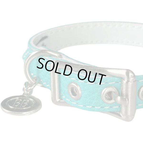 画像2: BB 首輪 ロビンズエッグブルー 3号 Robin's Egg Blue ID カラー バディーベルト buddybelt バディベルト (2)