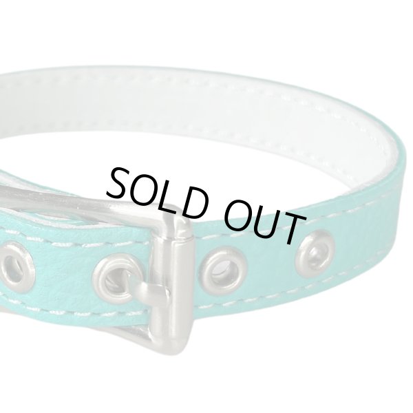 画像3: BB 首輪 ロビンズエッグブルー 3号 Robin's Egg Blue ID カラー バディーベルト buddybelt バディベルト (3)