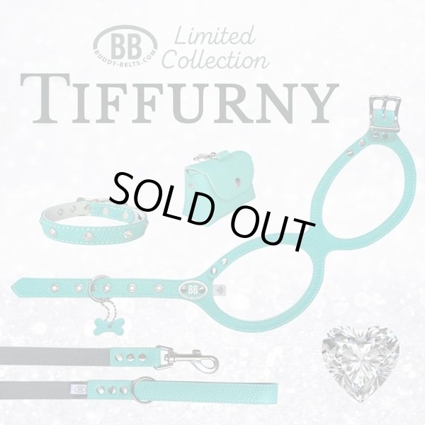 画像3: BB 首輪 ロビンズエッグブルー 1号 スワロフスキークリスタル付 Robin's Egg Blue ID カラー バディーベルト buddybelt バディベルト (3)