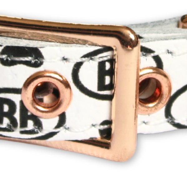 画像5: BB 首輪 ブラン 4号 Blanc ID カラー バディーベルト buddybelt バディベルト (5)