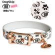画像2: BB 首輪 ブラン 2号 Blanc ID カラー バディーベルト buddybelt バディベルト (2)