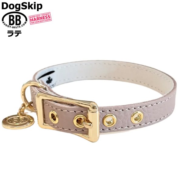 画像2: BB 首輪 ラテ 1号 Latte ID カラー バディーベルト buddybelt バディベルト (2)