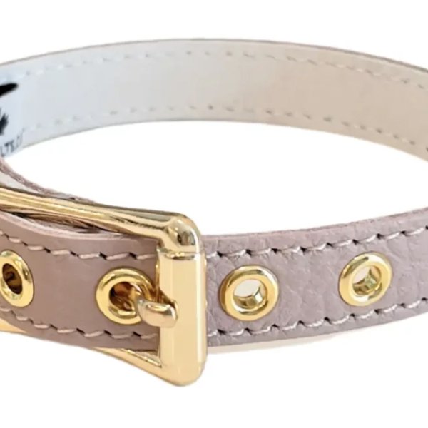 画像4: BB 首輪 ラテ 1号 Latte ID カラー バディーベルト buddybelt バディベルト (4)