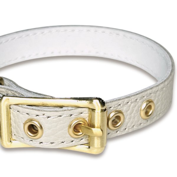 画像3: BB 首輪 ミルクティー・MilkTea 1号 (3)