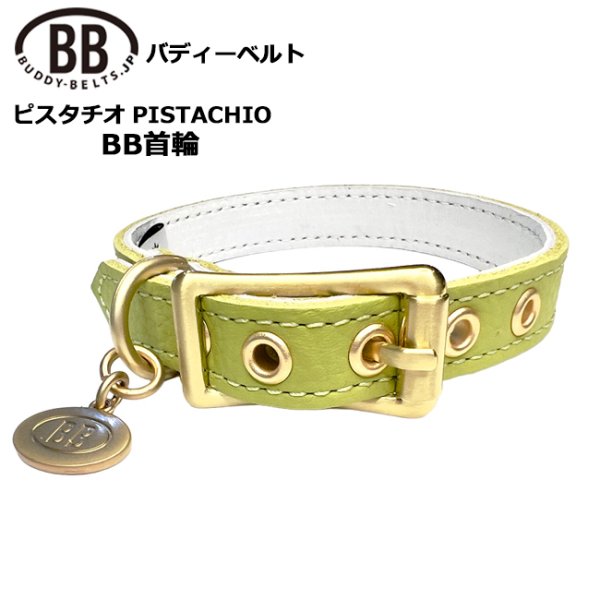 画像1: BB 首輪 ピスタチオ・Pistachio 3号 (1)