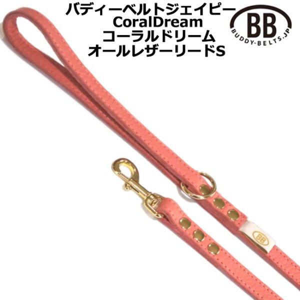 画像1: BBオールレザーリードSサイズ コーラルドリーム・CoralDream (1)