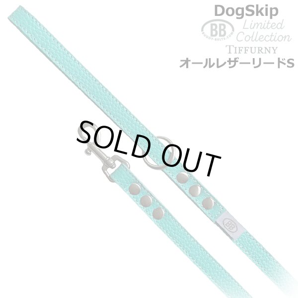 画像1: BBオールレザーリードSサイズ ロビンズエッグブルー Robin's Egg Blue バディベルト BUDDYBELT バディーベルト犬 犬用 ペット ドッグ リード バディーベルト正規輸入代理店 正規店 (1)