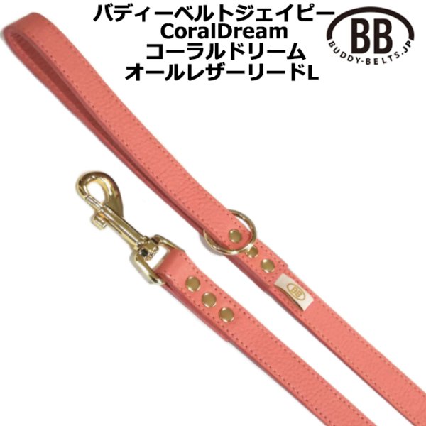 画像1: BBオールレザーリードLサイズ コーラルドリーム・CoralDream (1)