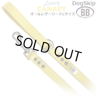 バディーベルト・バディベルトのカナリア（Canary）