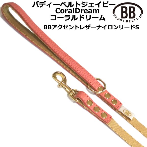 画像1: BBアクセントナイロンリードSサイズ コーラルドリーム・CoralDream (1)