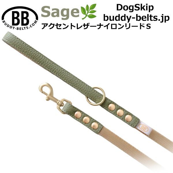 画像1: BBアクセントナイロンリードSサイズ セージ Sage (1)