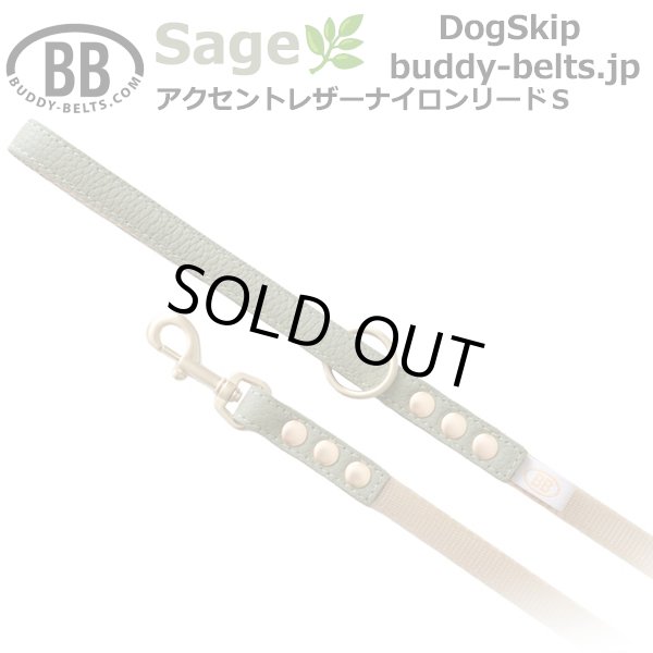 画像1: BBアクセントナイロンリードSサイズ セージ Sage (1)