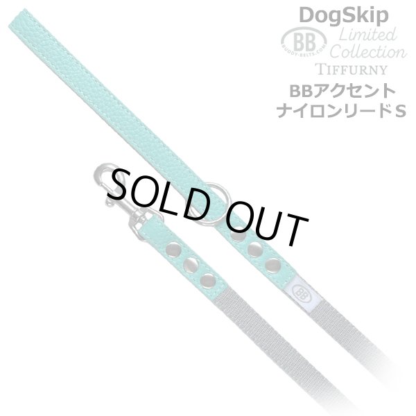 画像1: BBアクセントナイロンリードSサイズ ロビンズエッグブルー Robin's Egg Blue バディベルト BUDDYBELT バディーベルト犬 犬用 ペット ドッグ リード バディーベルト正規輸入代理店 正規店 (1)
