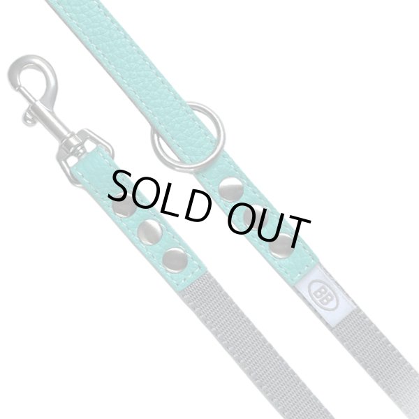 画像2: BBアクセントナイロンリードSサイズ ロビンズエッグブルー Robin's Egg Blue バディベルト BUDDYBELT バディーベルト犬 犬用 ペット ドッグ リード バディーベルト正規輸入代理店 正規店 (2)