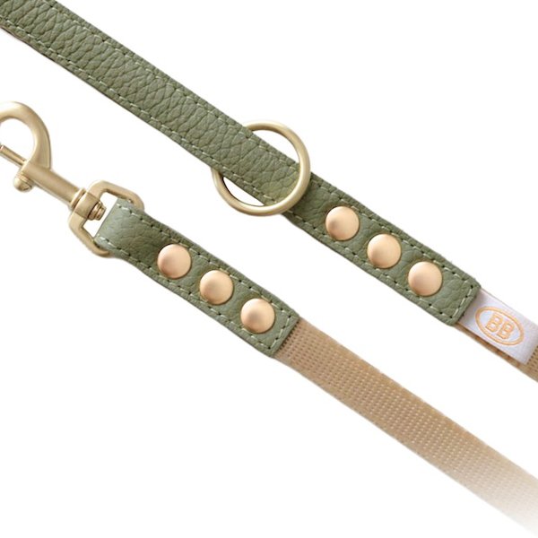 画像2: BBアクセントナイロンリードSサイズ セージ Sage (2)