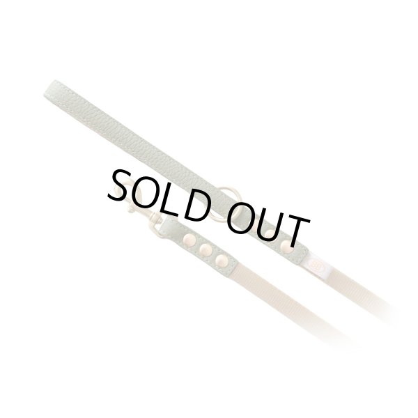 画像3: BBアクセントナイロンリードSサイズ セージ Sage (3)