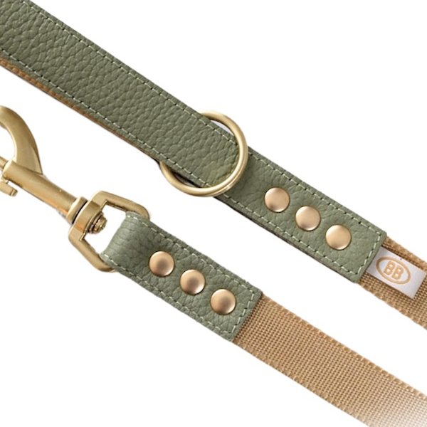 画像2: BBアクセントナイロンリードLサイズ セージ Sage (2)