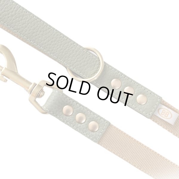 画像2: BBアクセントナイロンリードLサイズ セージ Sage (2)