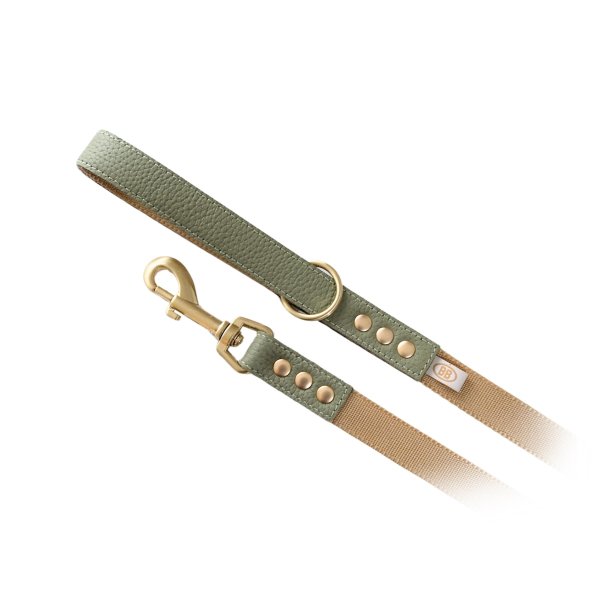 画像3: BBアクセントナイロンリードLサイズ セージ Sage (3)