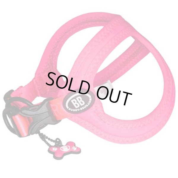 画像9: バディーベルト BBスポーツハーネス 8号 小型犬 ペット BUDDYBELT バディベルト 犬用 胴輪 リングハーネス メガネハーネス ボディベルト バディーベルト正規輸入代理店 正規店 BBスポーツバイブラントカラーコレクション（The BB Sport Vibrant color collection）buddy-belts buddybelts バディーベルト卸販売 バディベルト卸販売 (9)