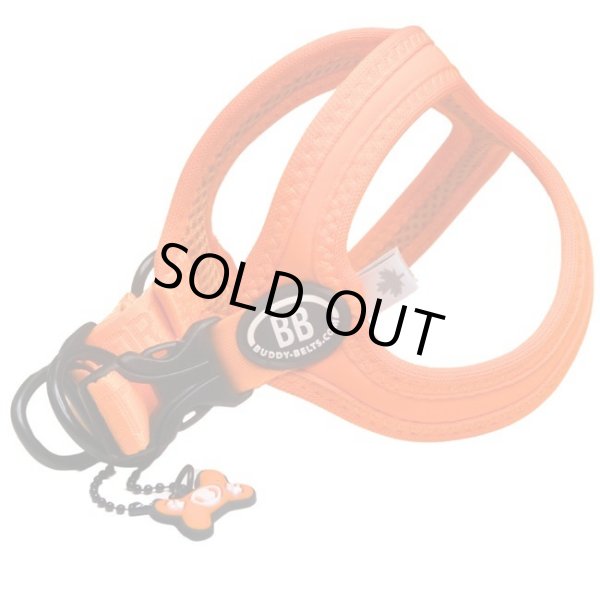 画像10: バディーベルト BBスポーツハーネス 8号 小型犬 ペット BUDDYBELT バディベルト 犬用 胴輪 リングハーネス メガネハーネス ボディベルト バディーベルト正規輸入代理店 正規店 BBスポーツバイブラントカラーコレクション（The BB Sport Vibrant color collection）buddy-belts buddybelts バディーベルト卸販売 バディベルト卸販売 (10)