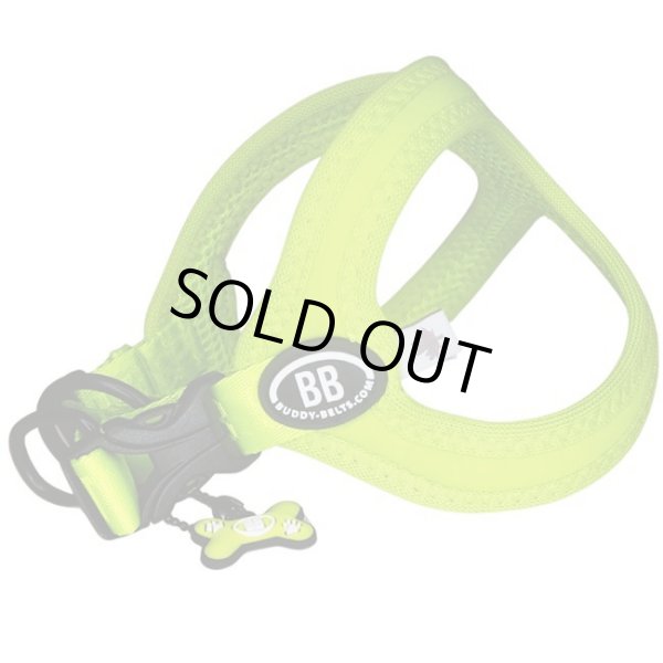 画像11: バディーベルト BBスポーツハーネス 8号 小型犬 ペット BUDDYBELT バディベルト 犬用 胴輪 リングハーネス メガネハーネス ボディベルト バディーベルト正規輸入代理店 正規店 BBスポーツバイブラントカラーコレクション（The BB Sport Vibrant color collection）buddy-belts buddybelts バディーベルト卸販売 バディベルト卸販売 (11)
